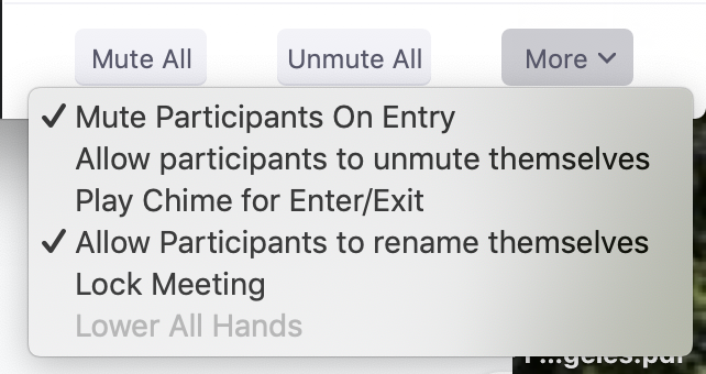 Zoom mute participants upon entry